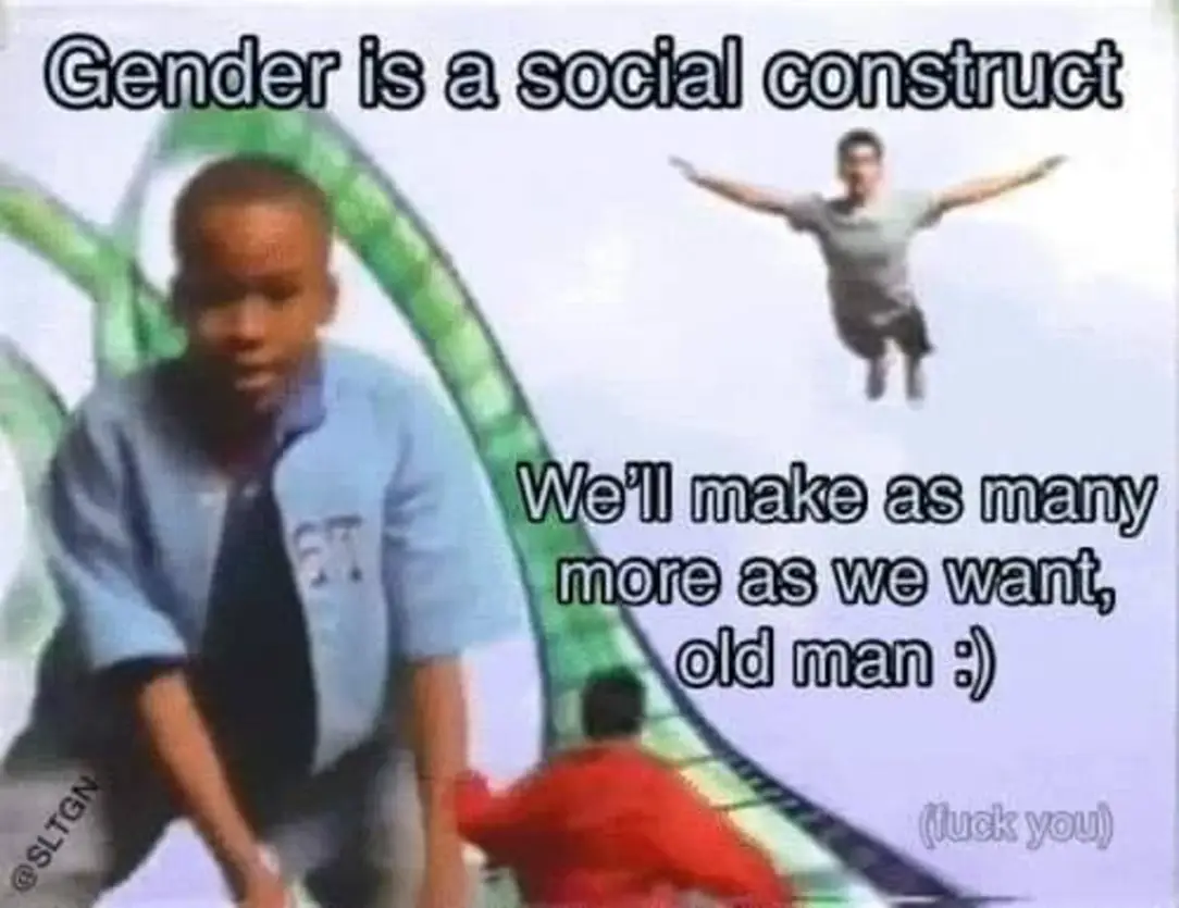 This meme is a humorous commentary on the idea that being a "social construct" is a way to describe being a man. The image shows a person in a Superman costume, with the text "Being a man is just a social construct" written above them. The text is then followed by a humorous and sarcastic response, "In that case, I'd like to be a bird. I'd like to have wings, a beak, a nest, to fly, to sing, to live. I'd like to have a bird’s life for the living, for the love, for the laughter, for the long days, for the cool nights, for the birds, for the birds, for the birds."